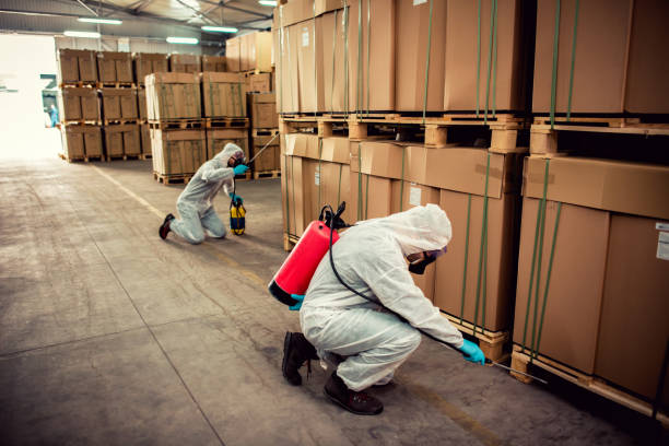 Best Pest Inspection Near Me  in Santa Fe, NM
