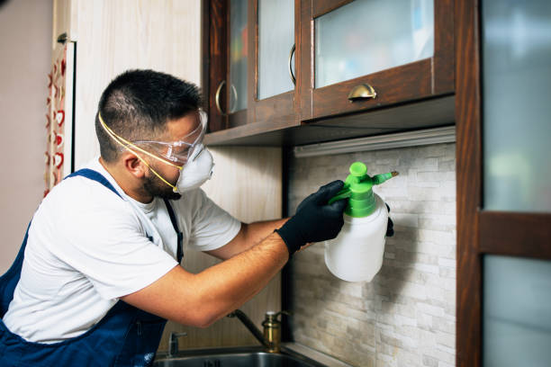 Best Residential Pest Control  in Santa Fe, NM