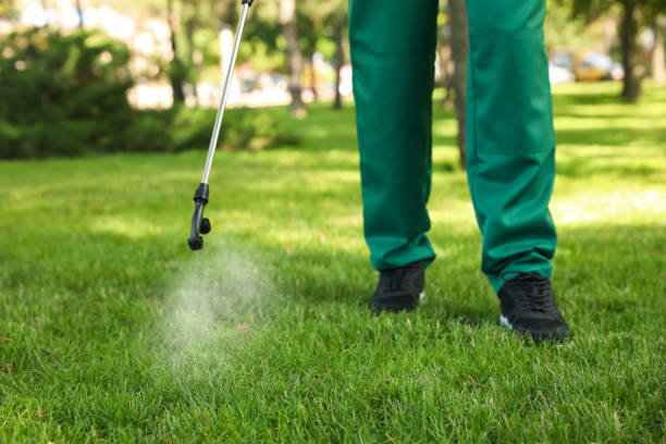 Best Flea Control Services  in Santa Fe, NM