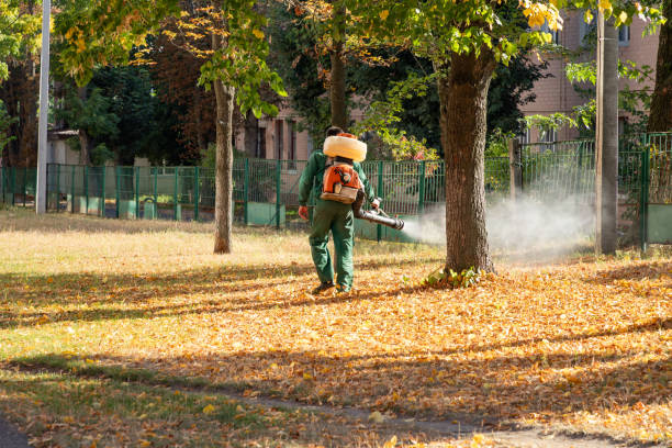 Best Rat Extermination Near Me  in Santa Fe, NM