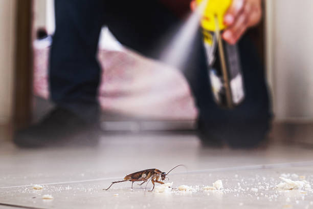 Pest Control Cost in Santa Fe, NM