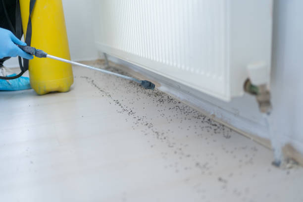 Best Affordable Pest Control Services  in Santa Fe, NM